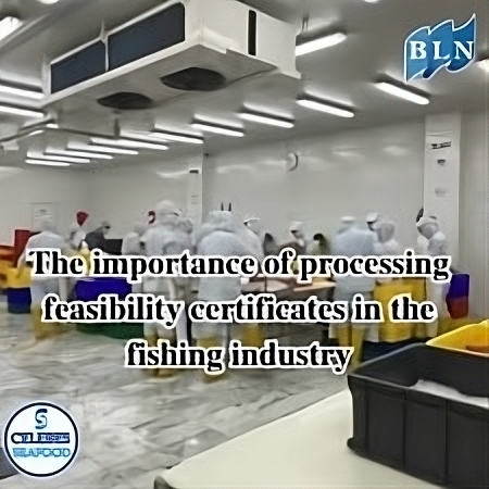 6 Important Roles of Processing Suitability Certificates in the Fishing Industry
